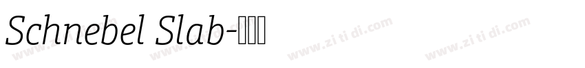 Schnebel Slab字体转换 Schnebel Slab字体转换
